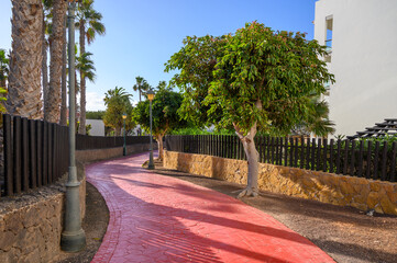 Obraz premium Winter vacation in Caleta de Fuste touristic village on Fuerteventura, Canary islands, Spain