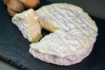 French cheeses collection, Saint-F&eacute;licien cow's milk cheese from Rh&ocirc;ne-Alpes region of France
