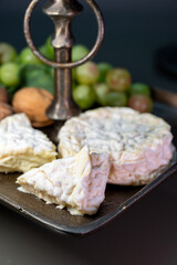 French cheeses collection, Saint-Félicien and saint-marcellin cow's milk cheese from Rhône-Alpes region of France