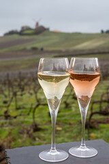 Tasting of brut and rose champagne sparkling wine outdoor with view on pinot noir gran cru vineyards of famous champagne houses in Montagne de Reims near Verzenay, Champagne, France