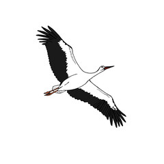 Vector illustration of a beautiful stork flying high in the sky. Bird that is a symbol of a new life.