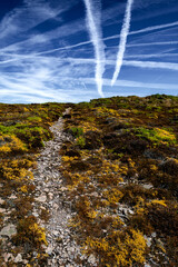 Hiking Trail And Sky With Grid Of Contrails At Atlantic Coast Of Cap Frehel In Brittany, France