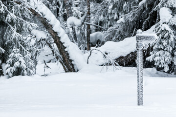 Snow covered sign