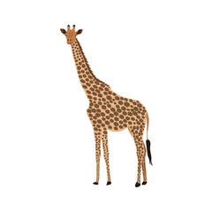 A beautiful giraffe vector artwork