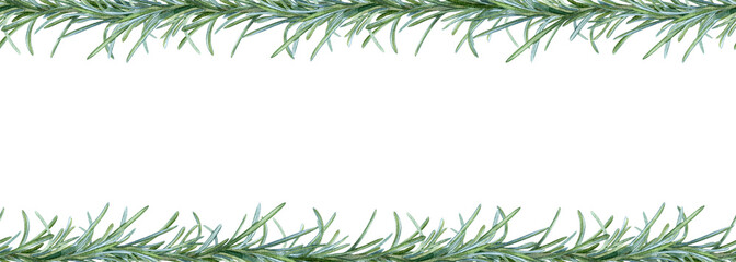 Rosemary branch border, hand drawing, spice food. Frame, banner for postcard design, packaging, kraft paper, fabric for the kitchen.