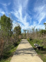Natural landscape walking path at Florida Caverns State Park