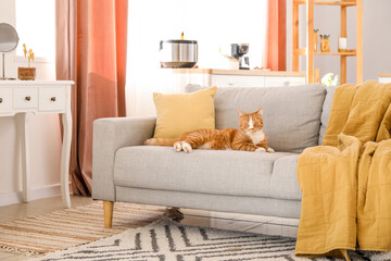 Cute red cat lying on grey couch at home - Powered by Adobe