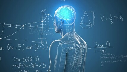Animation of mathematical sums and diagrams over illuminated digital brain in human body - Powered by Adobe