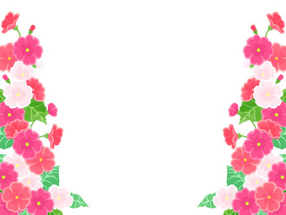 手描きのプリムラのイラストフレーム