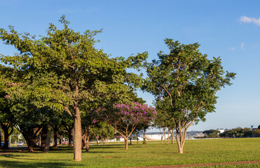 Brasilia capital of Brazil