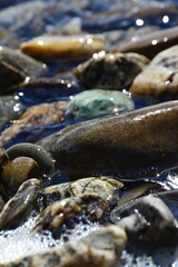 Multicolored shoreline pebbles with reflected light and water bubbles