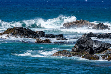 Giant Sea Turtles at Ho’okipa Beach off of the Road to Hana in Maui, Hawaii