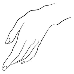 beautiful female hand in elegant gesture. Black and white linear silhouette.