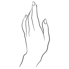 Raised up female hand in elegant gesture. Black and white linear silhouette. Cartoon style. isolated vector illustration.