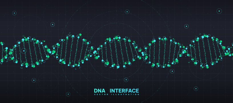 DNA interface concept