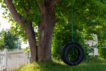 A black rubber tire swing hangs from a large tree with the assistance of a green cable rope. There are trees, a forest, a vegetable garden, and an old worn wooden broken down fence.  - Powered by Adobe