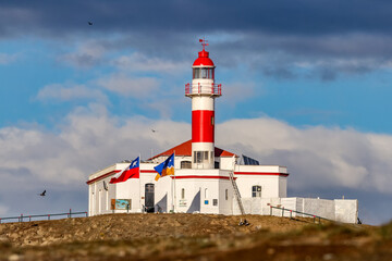 Fototapeta na wymiar Magdalena Island, Punta Arenas, Chile