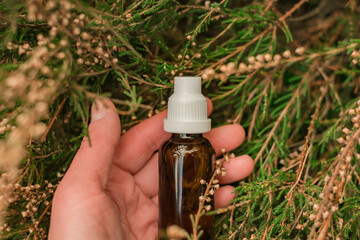 herbal remedies.Herbal tincture in hand in heather.natural pharmacy. homeopathic remedies.Organic...