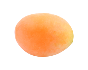 Marian Plum, (Bouea macrophylla Griffith).transparent png