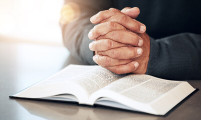 Fototapeta premium Bible, hands and prayer of a man reading christian text for spiritual healing and religion. Lens flare, hand closeup and praying of a person with peace and a book for praise, support and hope