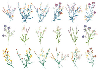 Big set botanic blossom floral elements. Small drawing branches, leaves, herbs, wild plants, flowers. Garden, meadow, field collection leaf, foliage, branches. Bloom bouquets vector illustration