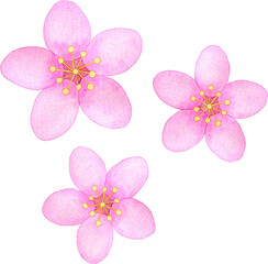 Fototapeta na wymiar 一重咲きの桃の花のイラスト