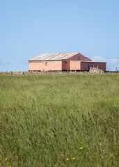 Old barn or shed made of wood and corrugated iron in a field in outback Australia