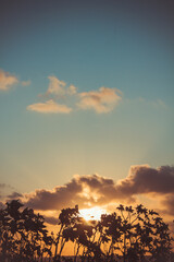Incredible sunset with vibrant colors and clouds covering the sun. Free space to write.
