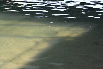 water's surface 1