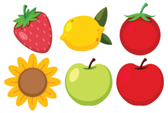 Set of simple fruit and flower cartoon