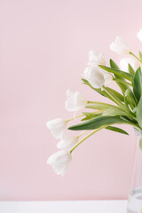 Bouquet of white tulips in a glass vase against a pink background.