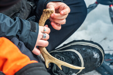 Fototapeta premium a person sitting on snow holding a deer horn with two hands during a tracking / nature study class