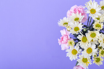 Ramo de flores de margaritas blancas y claveles rosa sobre fondo de color morado ideal para banners de ofertas, avisos de primavera