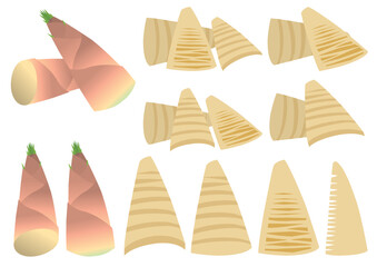 タケノコのイラストのセット
