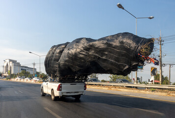 A pickup truck is driving on the highway with an excessive load - a wrapped tree, Thailand © milkovasa