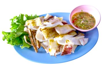 grilled squid on plate isolated