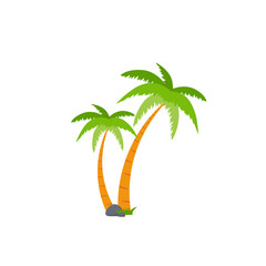 Beach coconut tree, seaside palm tree, coconut tree or island palm tree.