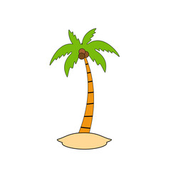 Fototapeta premium Beach coconut tree, seaside palm tree, coconut tree or island palm tree.