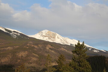May Snow On The Mountain, Jasper National Park, Alberta
