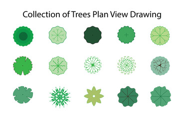 illustration of gardening and landscape, Pictures of various forms of trees for work, different types of tree paintings, Collection of trees plan top view drawing