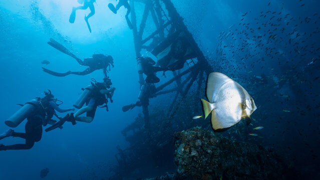 Underwater shot of HTMS Chang wreck ship with school of fish and scuba divers. The ship built for the US Navy during World War II. A scuba diving shipwreck dive site near Koh Chang in Trat, Thailand.