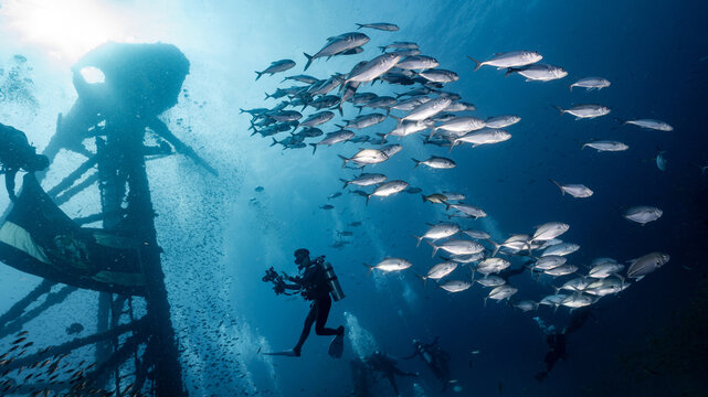 Underwater shot of HTMS Chang wreck ship with school of jack fish and scuba divers. Ship built for the US Navy during World War II. A scuba diving shipwreck dive site near Koh Chang in Trat, Thailand.