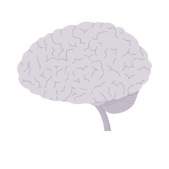 Isolated of human brain illustration in flat vector.