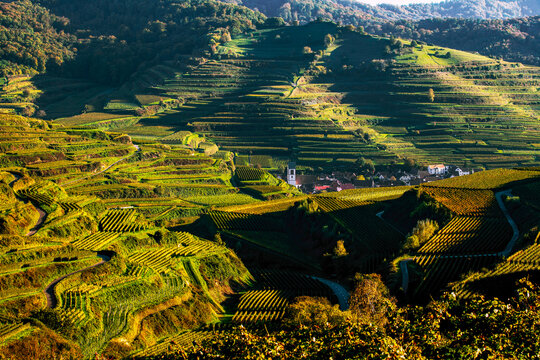 Oberbergen in the Kaiserstuhl