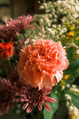 orange dahlia flower