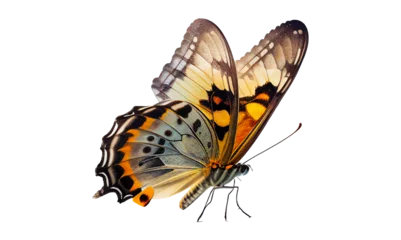 Tuinposter butterfly isolated on white, transparent background, PNG, generative ai © HappyTime 17