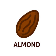 Organic food. Vector almond icon. Healthy nuts. Alternative milk. Nutrition healthy snack