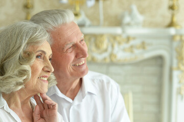 Obraz na płótnie Canvas happy Senior couple posing