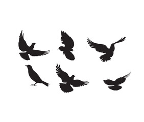Obraz na płótnie Canvas silhouette of pigeons