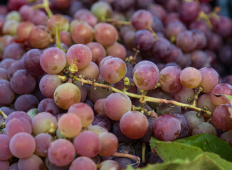 red grapes as a background